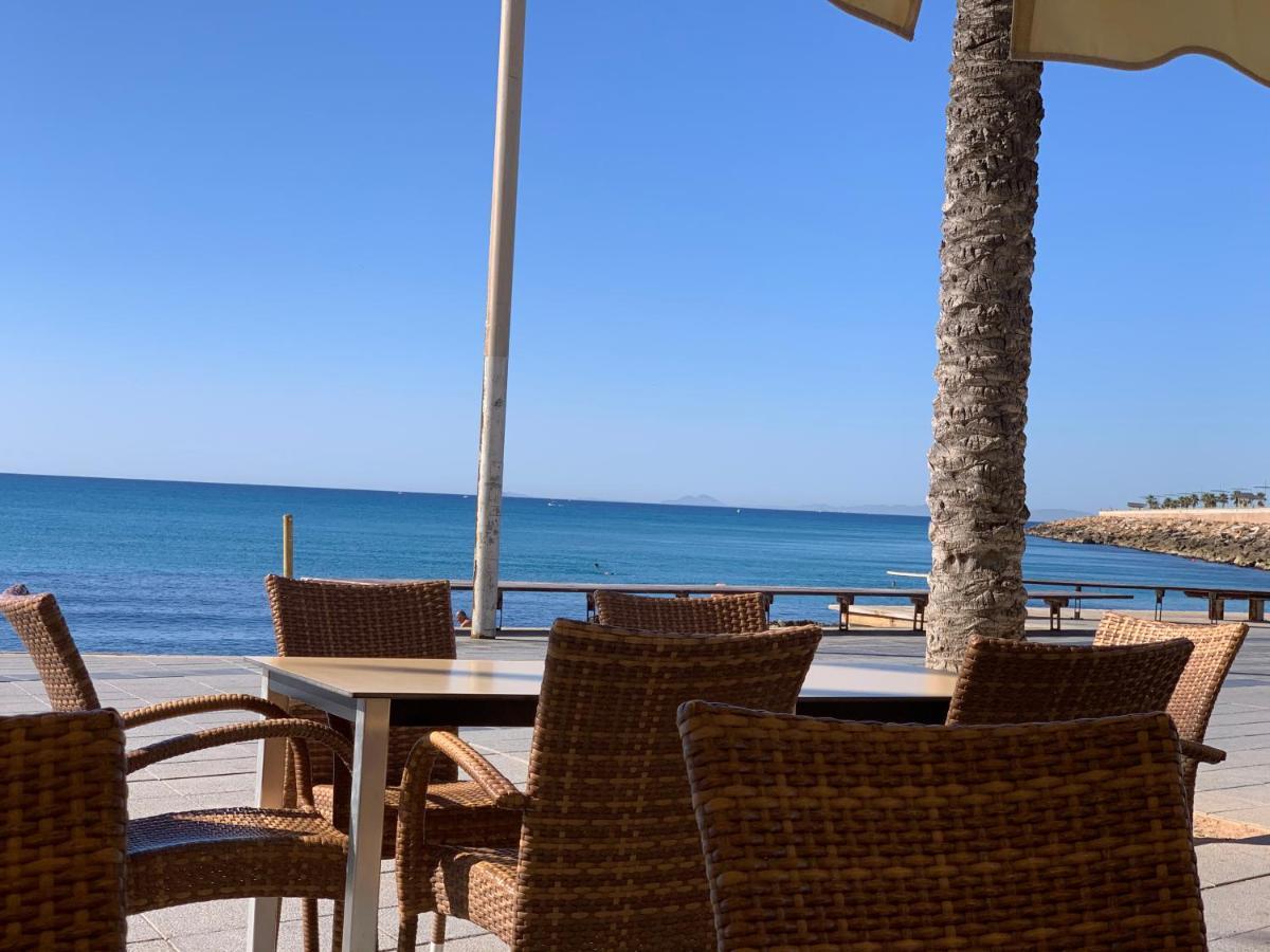 Residenz Ramon Gallud Torrevieja Eksteriør billede